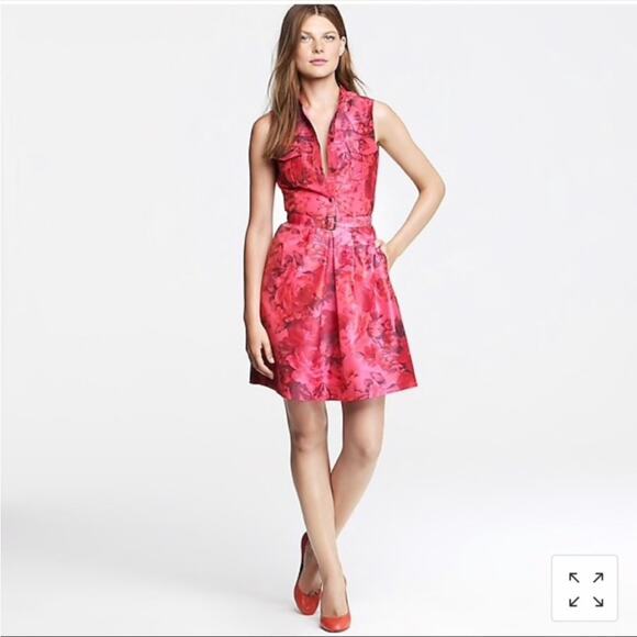 J. Crew Bonnie Dress‎ - Picture 1 of 12